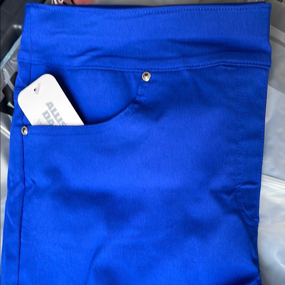 Allison Daley Tech Stretch Pull-On Skimmer Pants - Picture 3 of 8